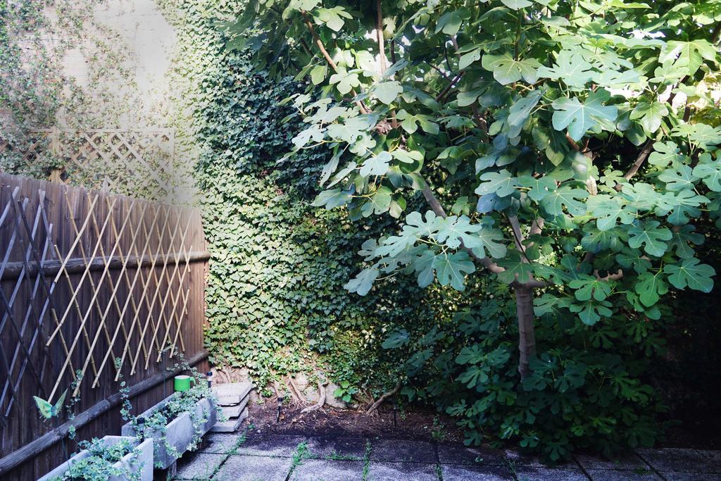 La Maisonette Et Son Jardin Venice Exterior photo